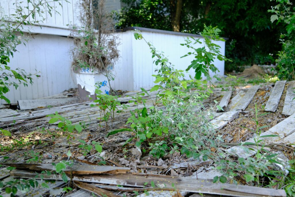 A Messy Yard That Will Be Cleaned Up and Trash Will Be Hauled Away