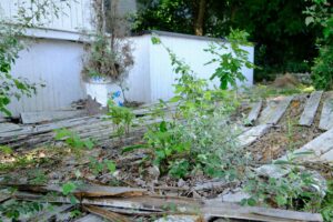 A Messy Yard That Will Be Cleaned Up and Trash Will Be Hauled Away