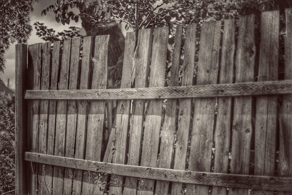 Old rotting wooden privacy fence leaning and falling apart